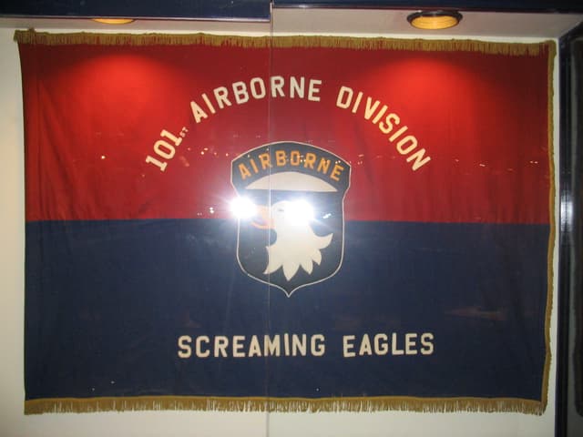 101st Airborne Division 'Screaming Eagles' flag